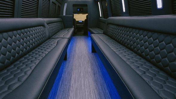 Interior of Connecticut Party Bus Company's 28 Passenger Party Bus in Connecticut
